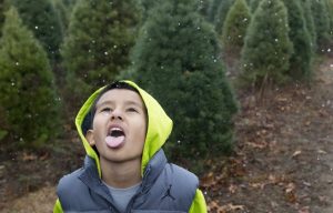 Daniel Hernandez, 9, Goshen, tries to catch snowflakes on his tongue while his family cuts down their Christmas tree late in the day Thursday, Dec. 2, 2015, at Eby's Evergreen Plantation in Bristol.